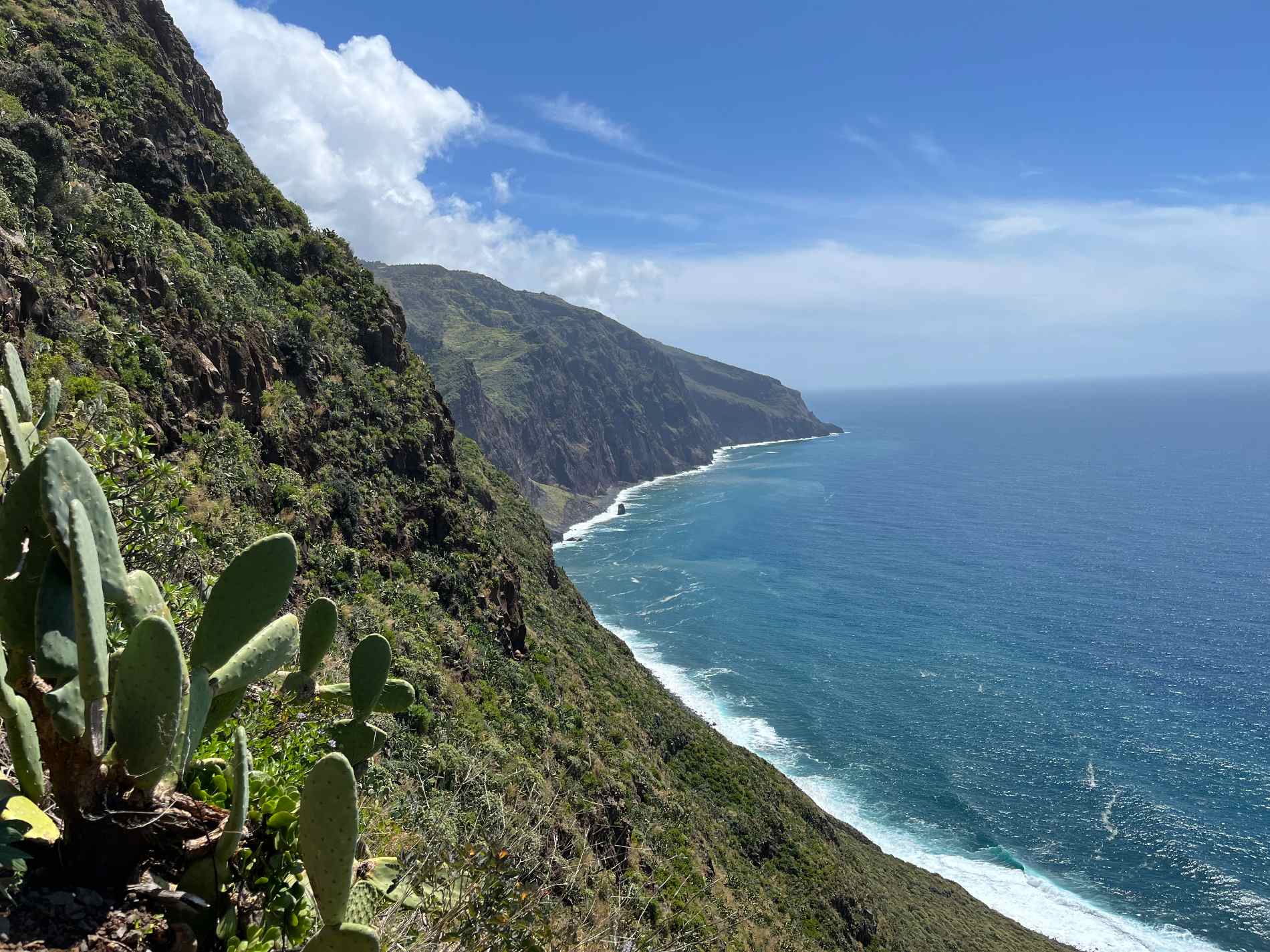 Madeira Coastline